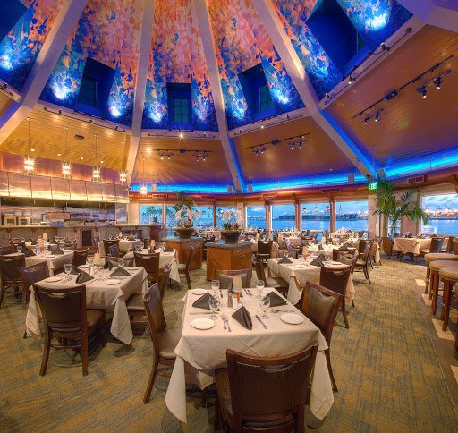 AF1QipMkuvawcWnxm1v2SDVQvEXx9WyvIa5C4fRjtllR 1