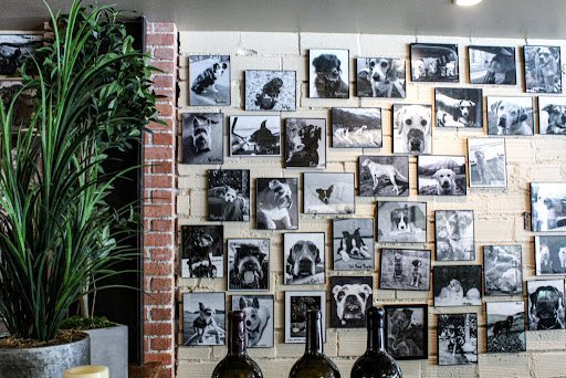 AF1QipOO9LdUjK lKIHMURKK38TfQTNj vPtHyWDeioN 1