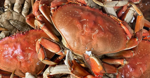 AF1QipPMZK97GqbMoi6FKeZRh1oIE2z6tywXI Mm3fY4 1